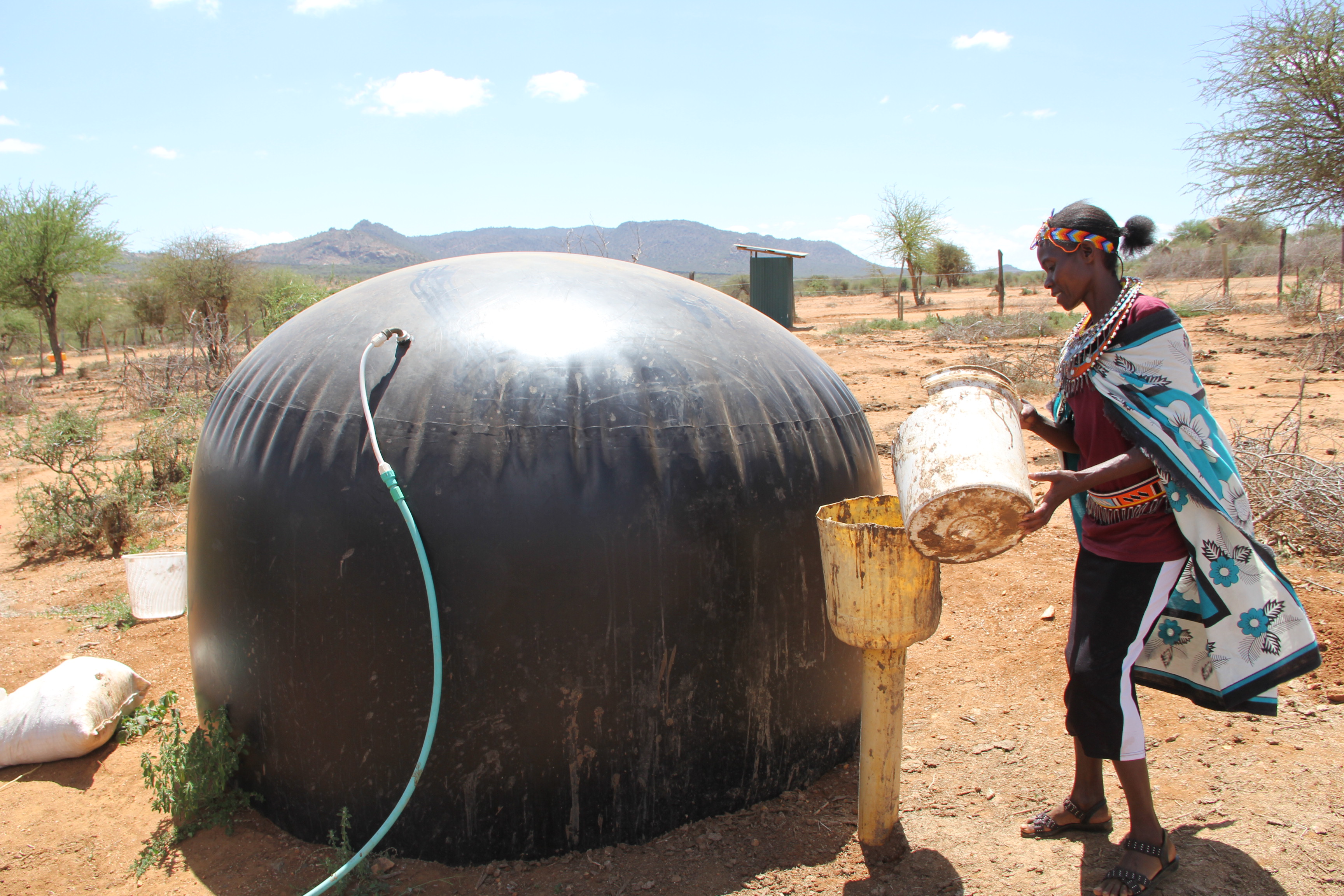 Women eradicate cactus through biogas production for domestic use