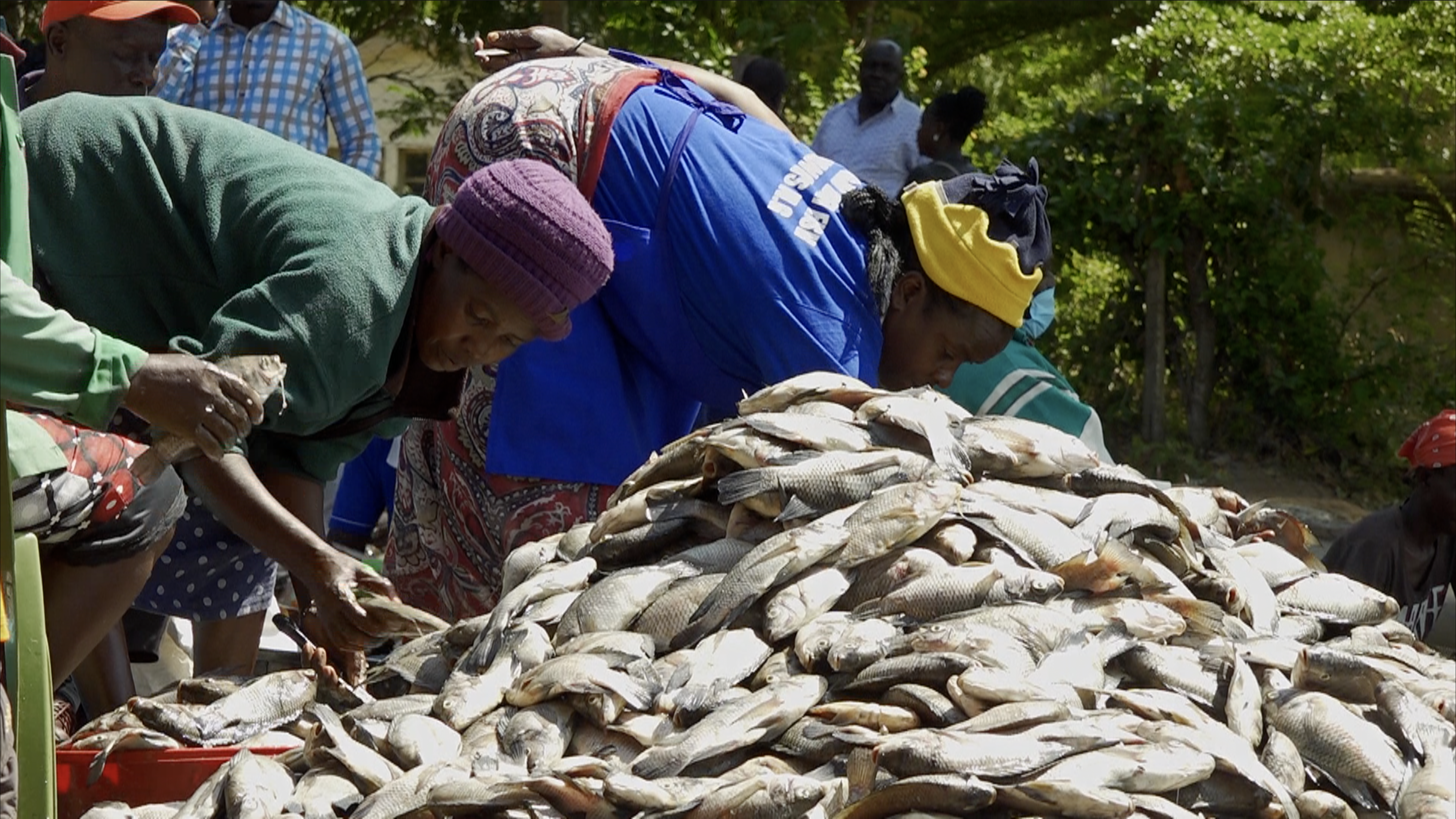 Kwale Governor Achani urges fishermen to join cooperatives