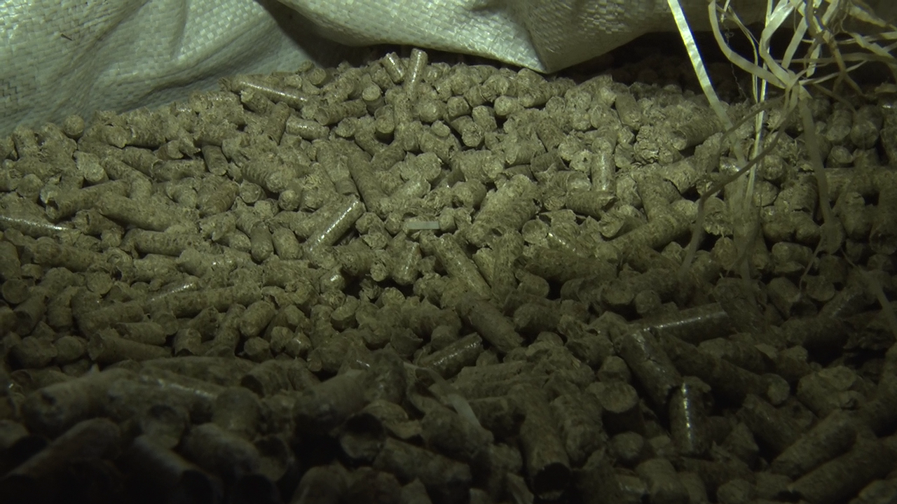 Kakamega firm turns sugarcane bagasse into fuel pellets