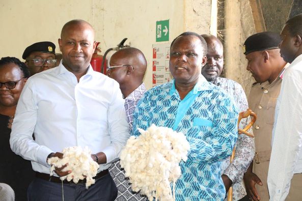 Government distributes cotton seeds worth Sh 51mn