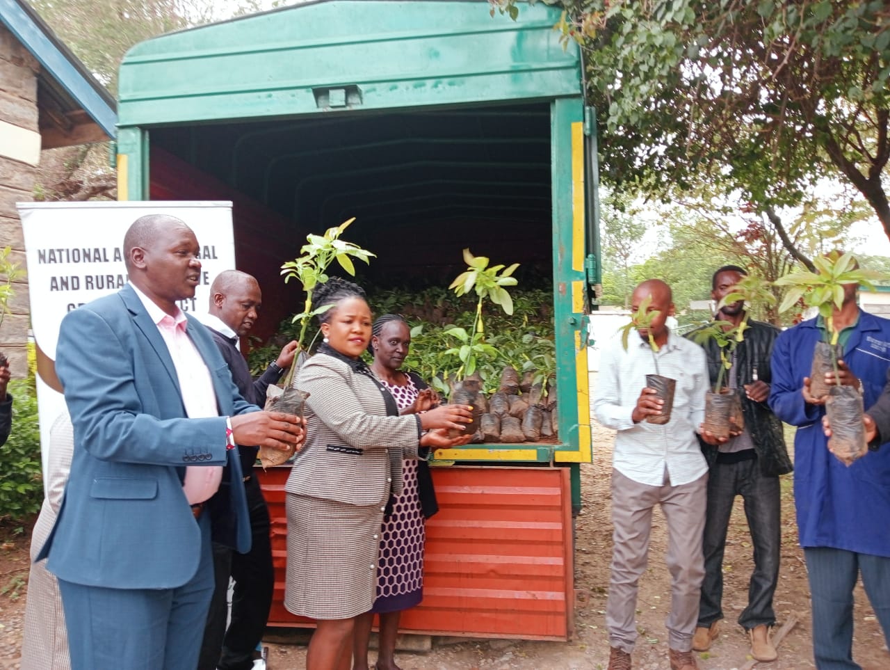 Narok farmers get certified avocado seedlings from NARIGP