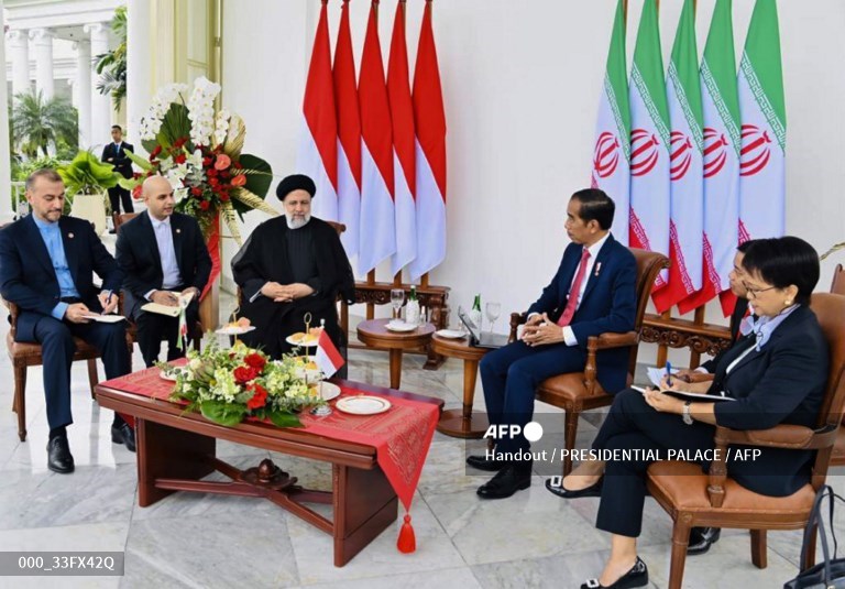 Indonesian president to attend BRICS summit in South Africa