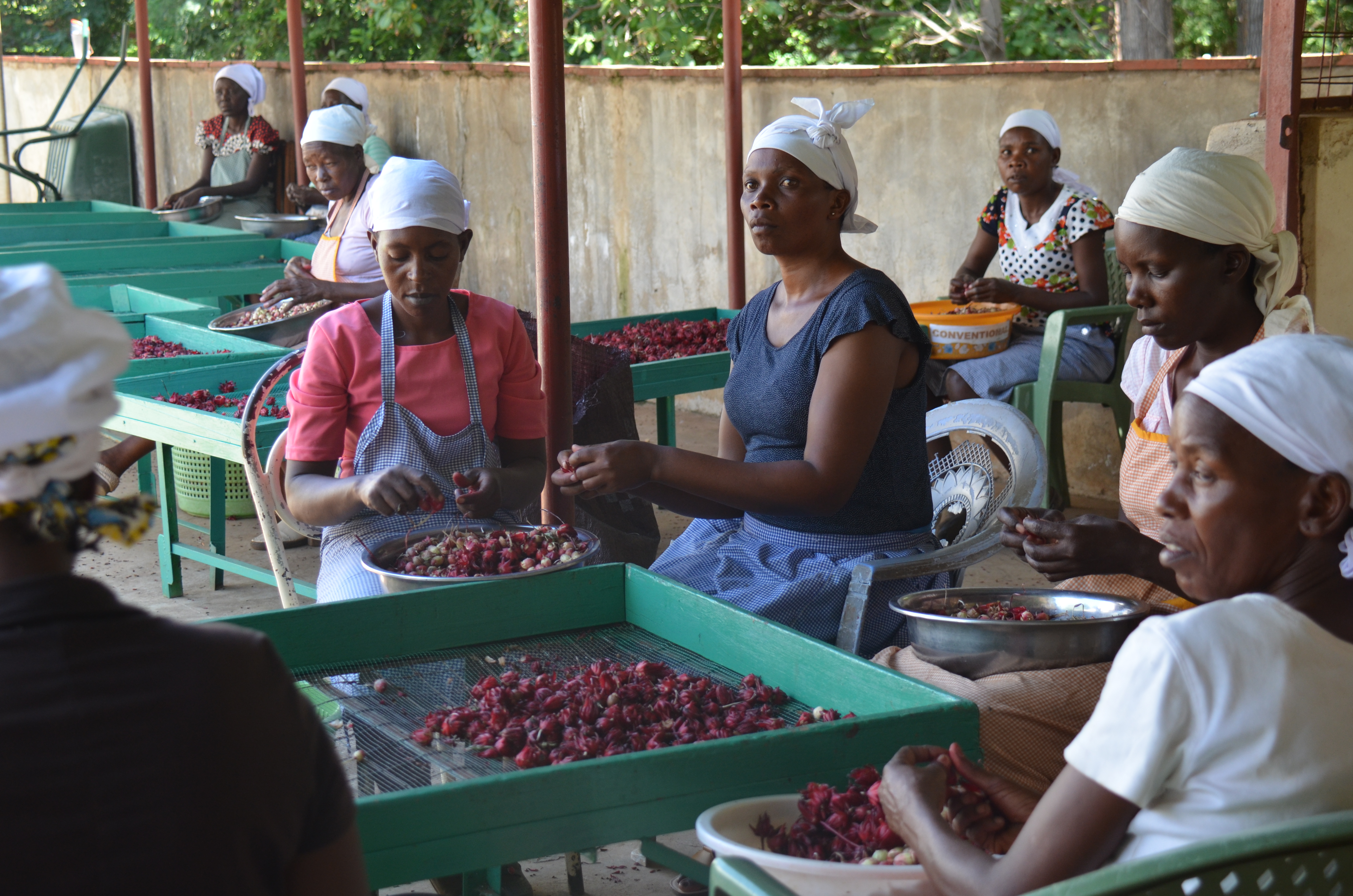 Export agency connects Meru products with international markets