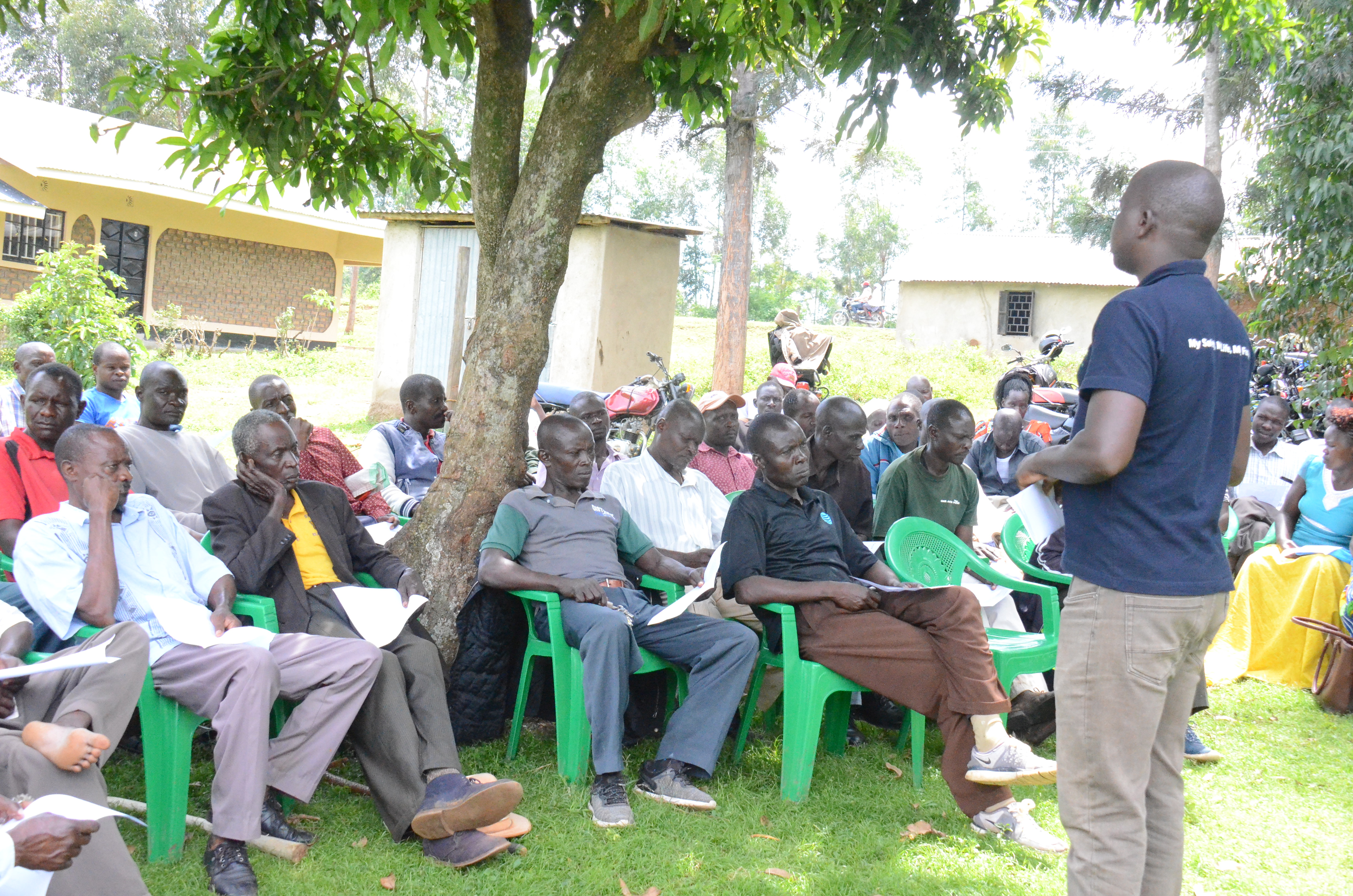 Migori farmers abandon tobacco farming for avocado