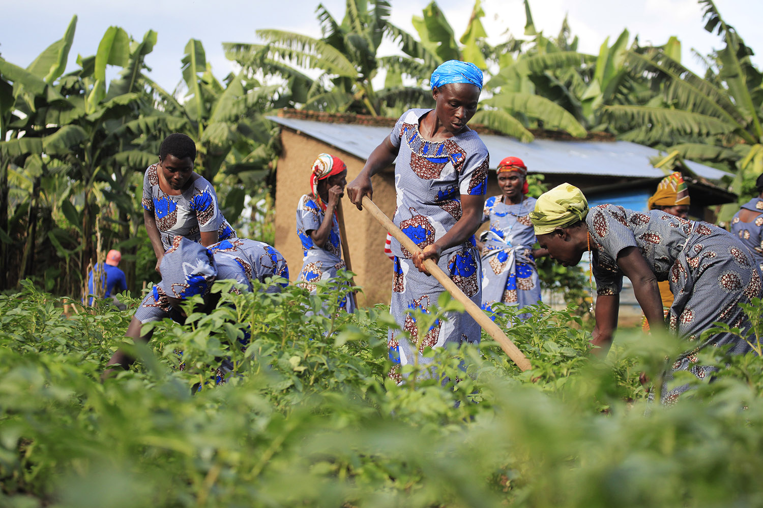 Rural areas lead urban centers with high poverty levels, new report shows
