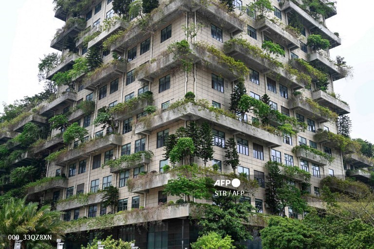 Shares in Chinese property giant Country Garden down sharply