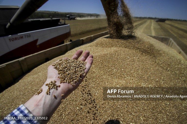 Erdogan eyes Putin visit after grain deal collapse