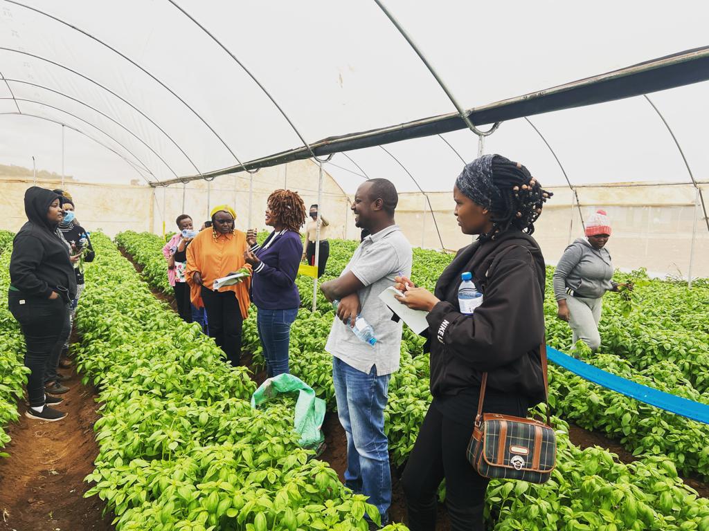 Farmer on Fire rolls out food security training for women, school children