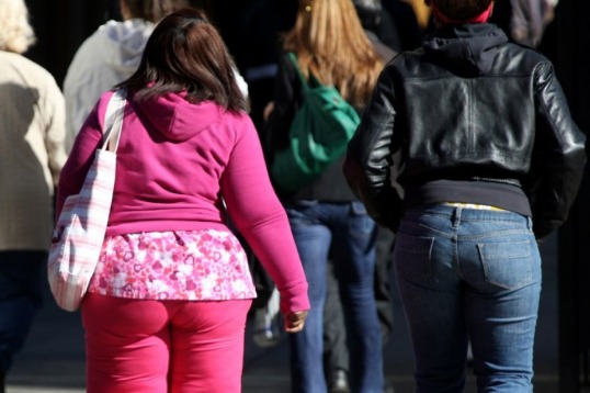 Adult obesity prevalence in US remains high: CDC