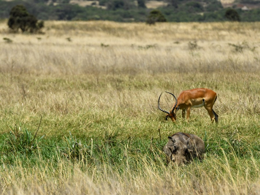 Kenya launches tourism products to boost international tourist arrivals