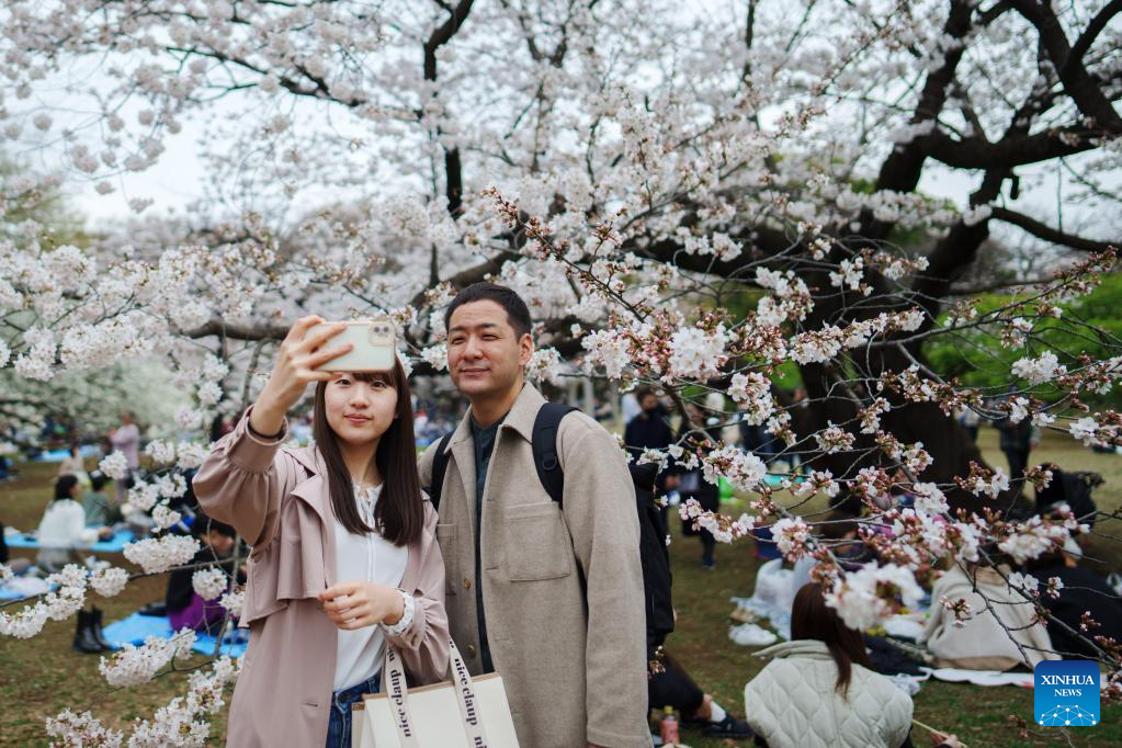 1 in 4 newlyweds in Japan meet on matching apps: survey