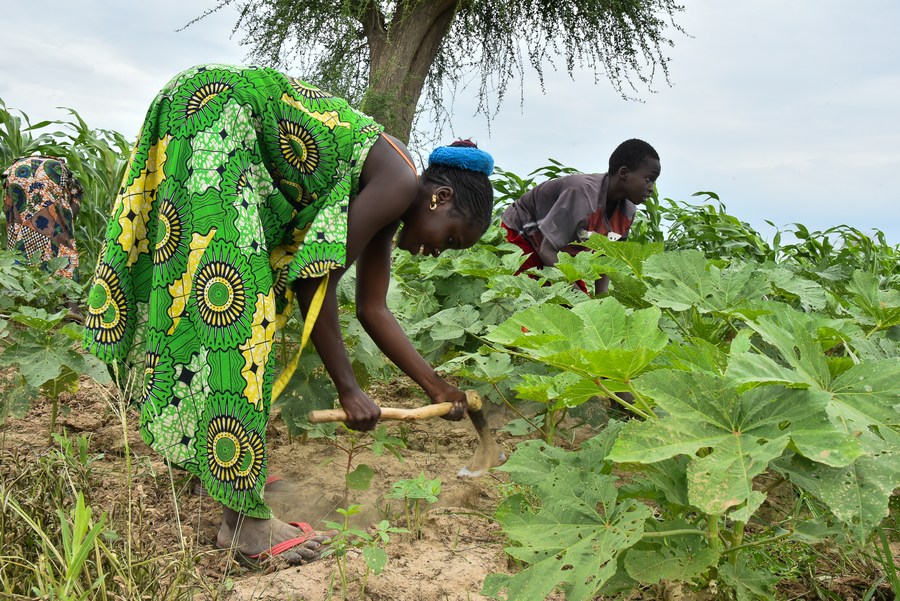 Farmers seek solutions amid climate change