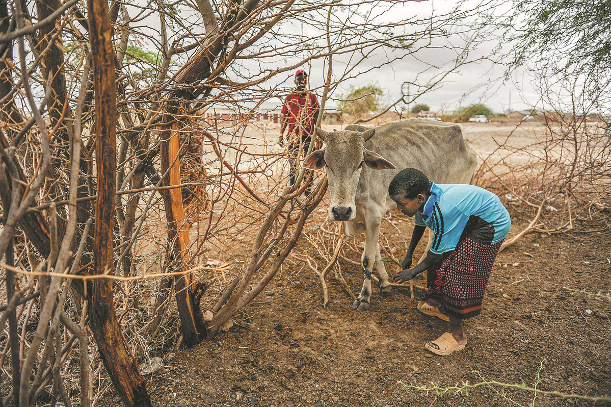 Youth find novel ways to fight environment crisis