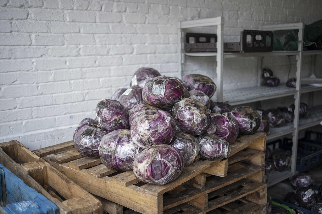 Climate suffers as world wastes over 1 billion meals a day