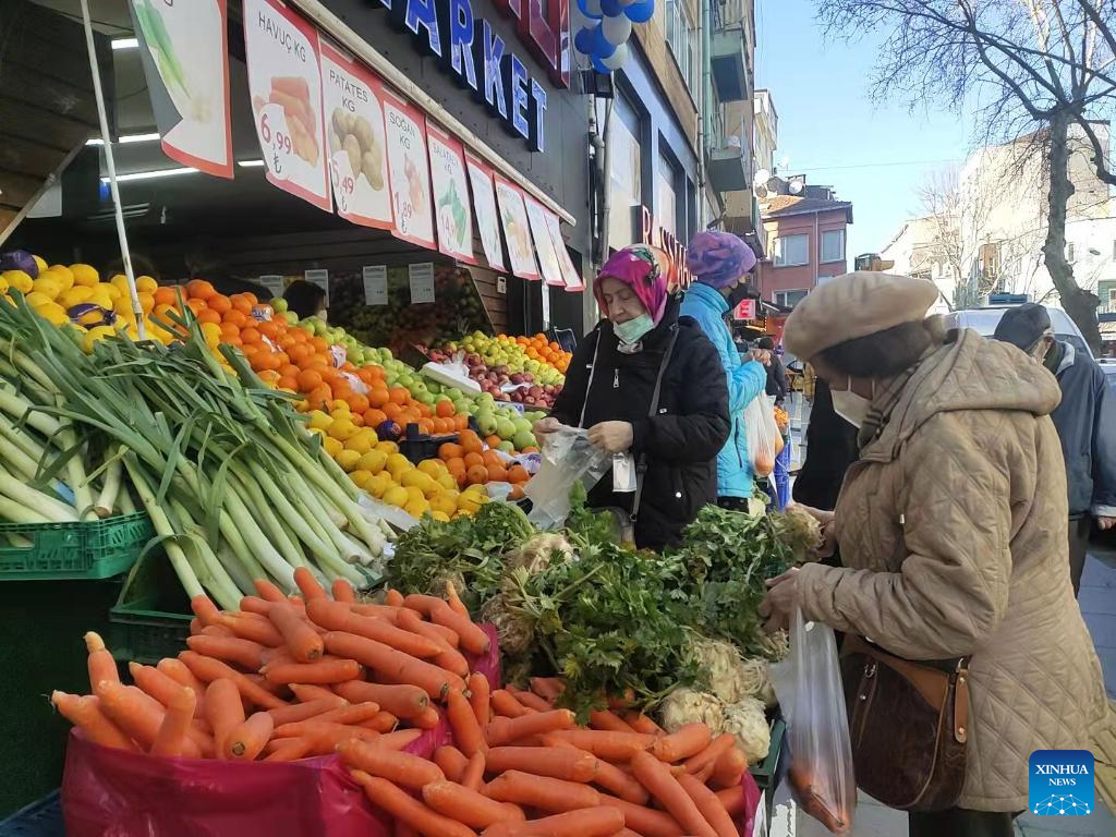 Turkish central bank cuts its policy rate by 100 points to 37pc