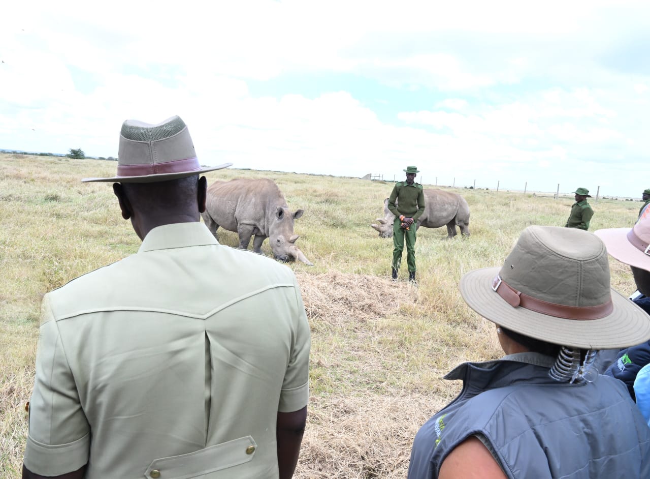 Govt to genetically preserve two remaining Northern White Rhinos