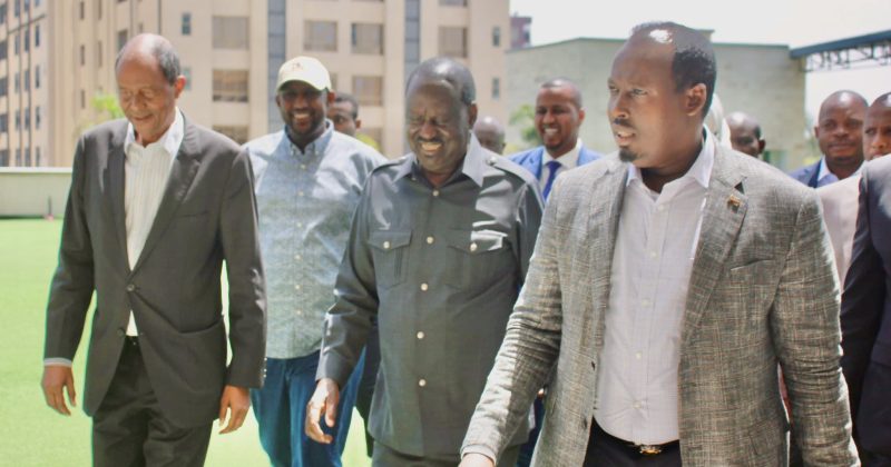 Raila pledges to boost private investments if elected AUC Chair
