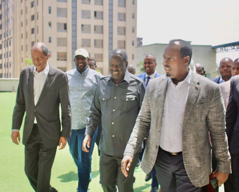 Raila pledges to boost private investments if elected AUC Chair