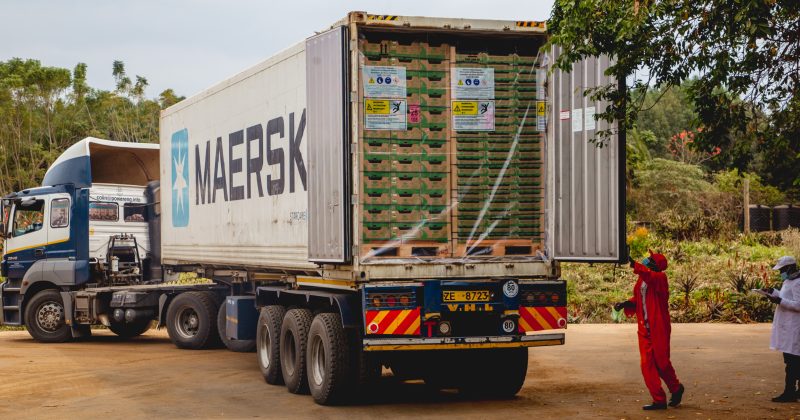 China’s zero-tariff access opens new growth path for Kenyan exporters