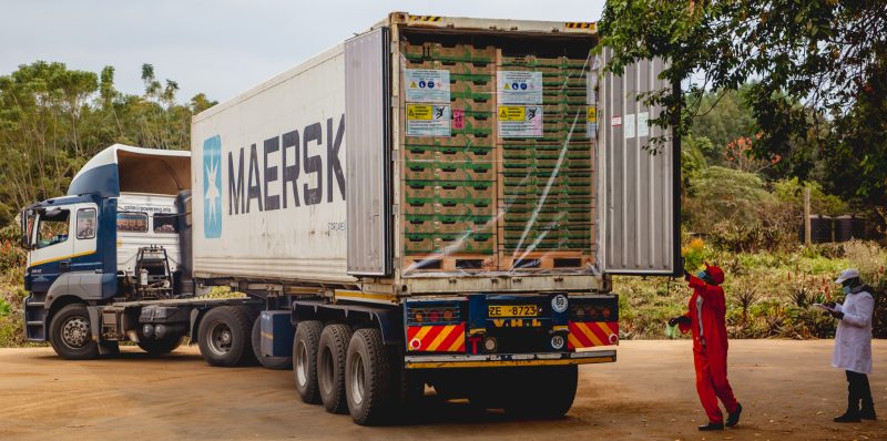 China’s zero-tariff access opens new growth path for Kenyan exporters