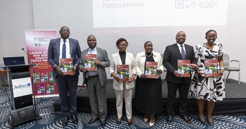 AfDB urges fiscal reforms to boost Kenya’s economic growth
