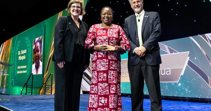 Kenyan professor wins top global veterinary award