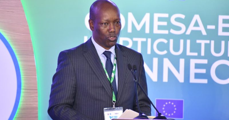 Trade CS Kinyanjui says AGOA extension eases trade uncertainty