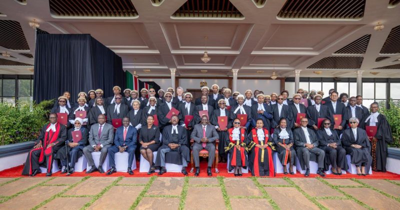 Petitioner moves to court to nullify conferment of Senior Counsel titles