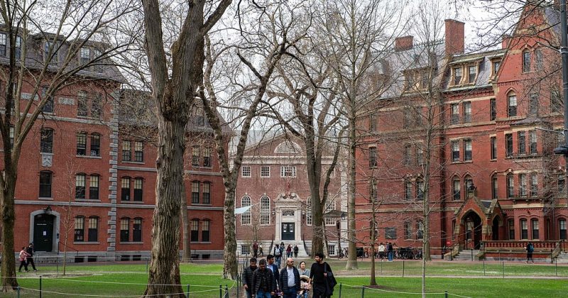 Trump seeks $1bn in damages from Harvard