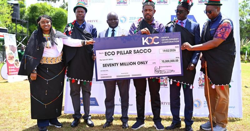 KDC targets livestock value chains with Sh70mn facility in West Pokot