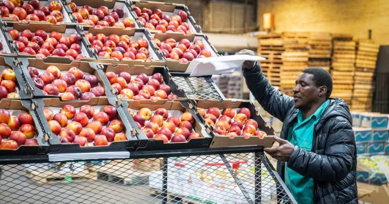 S. Africa to boost support for small businesses through reforms, financing