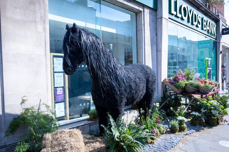 Lloyds, Bank of Scotland and Halifax apps showed customers other users’ transactions