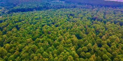 Climate Groups raise concerns over delivery of adaptation finance pledges