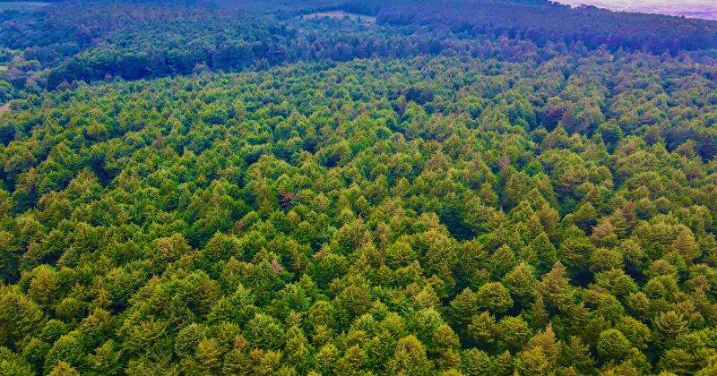 Climate Groups raise concerns over delivery of adaptation finance pledges