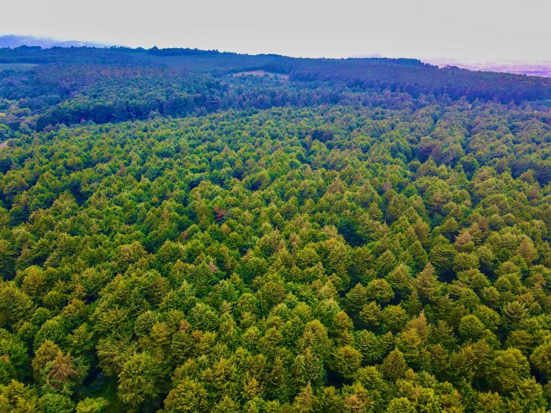 Climate Groups raise concerns over delivery of adaptation finance pledges