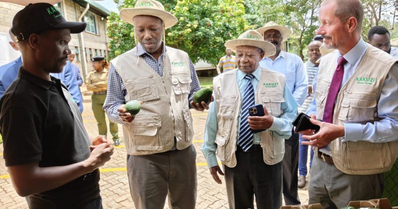 Govt backs Kakuzi value addition push to boost exports
