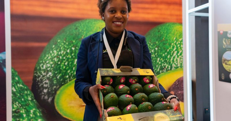 Kenya eyes export boom to China ahead of tax waiver