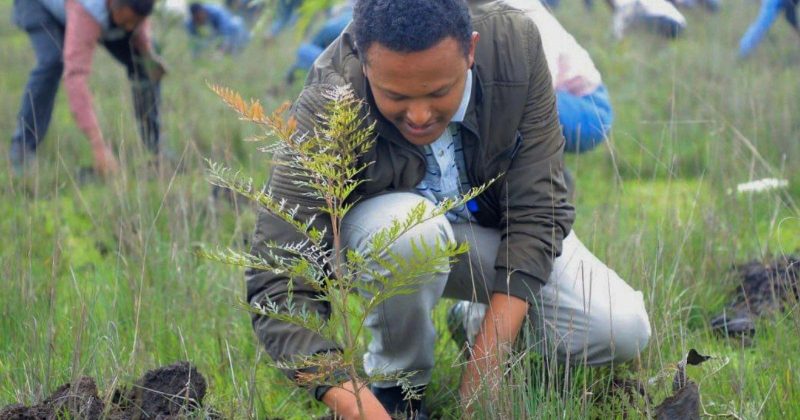 Court dismisses case against Earthbanc in Kenya project dispute