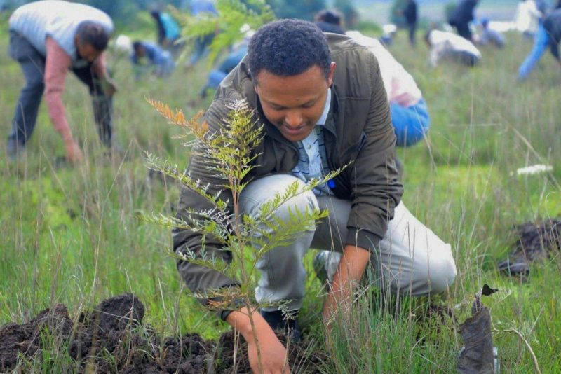 Court dismisses case against Earthbanc in Kenya project dispute