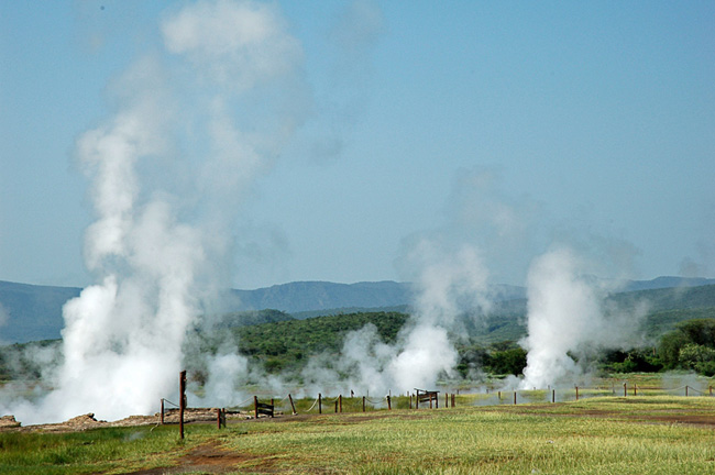 Lake-Bogoria-(2)