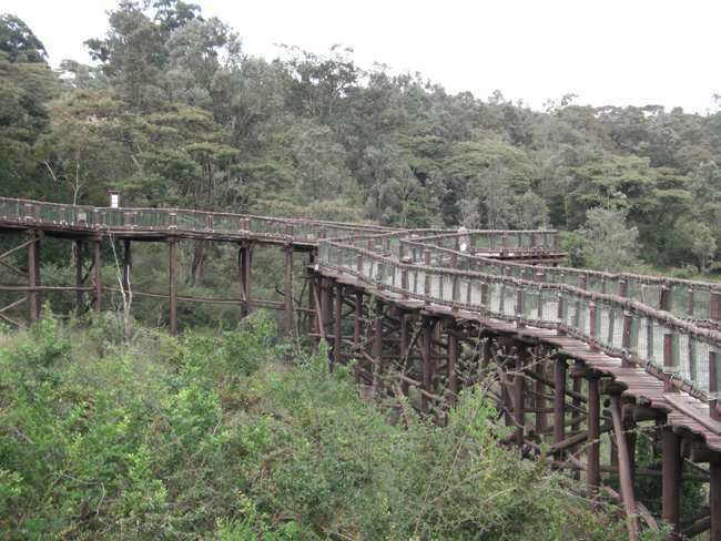 Safari-Walk