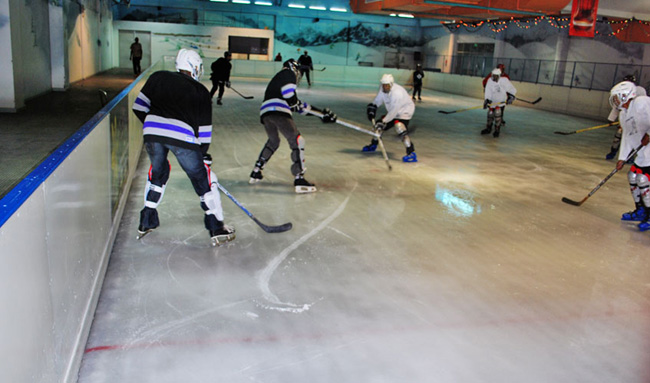 Skating