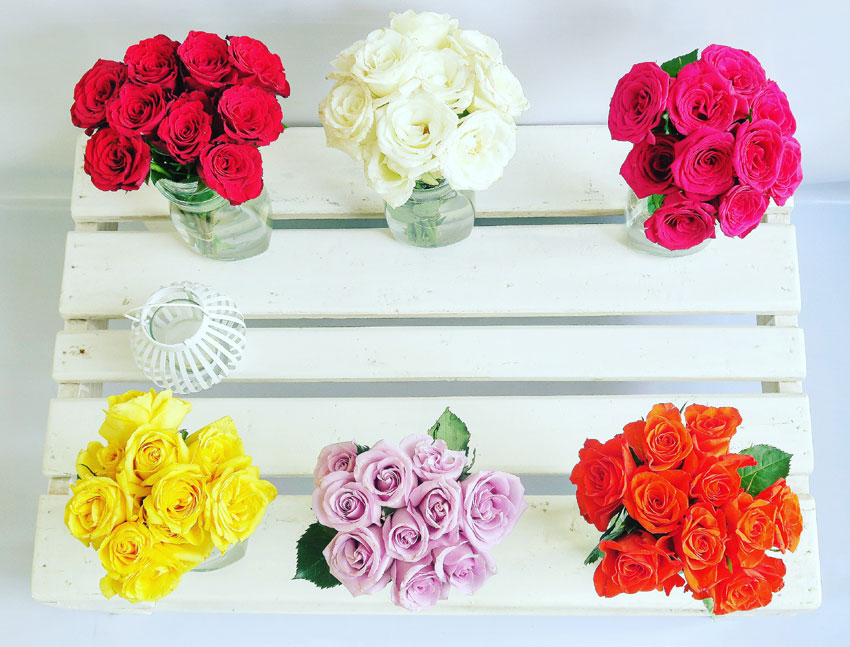 ROSES-COLORS