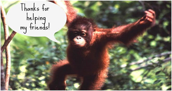 sustainable-tourism