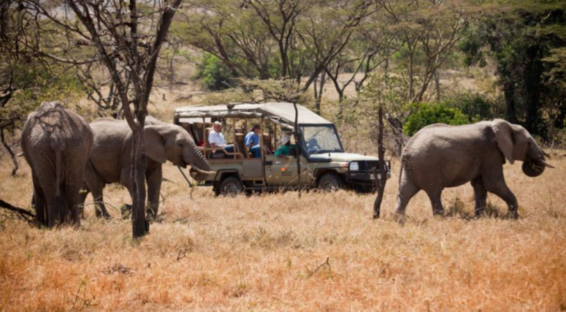 basecamp-masai-mara