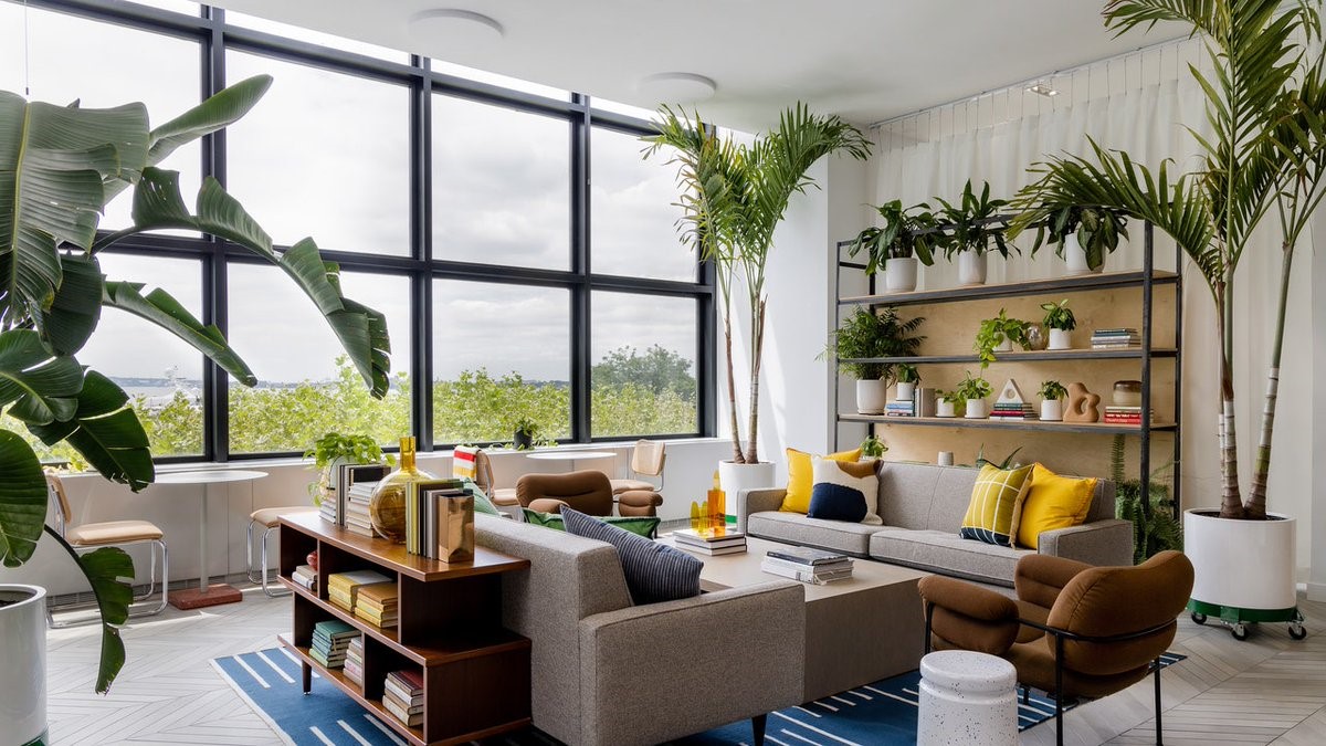 Reasons Real Houseplants Make all The Difference in Your Space