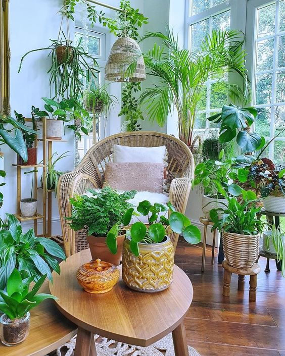 Feng Shui: 7 Plants That Will Bring Luck and Good Fortune to Your Home