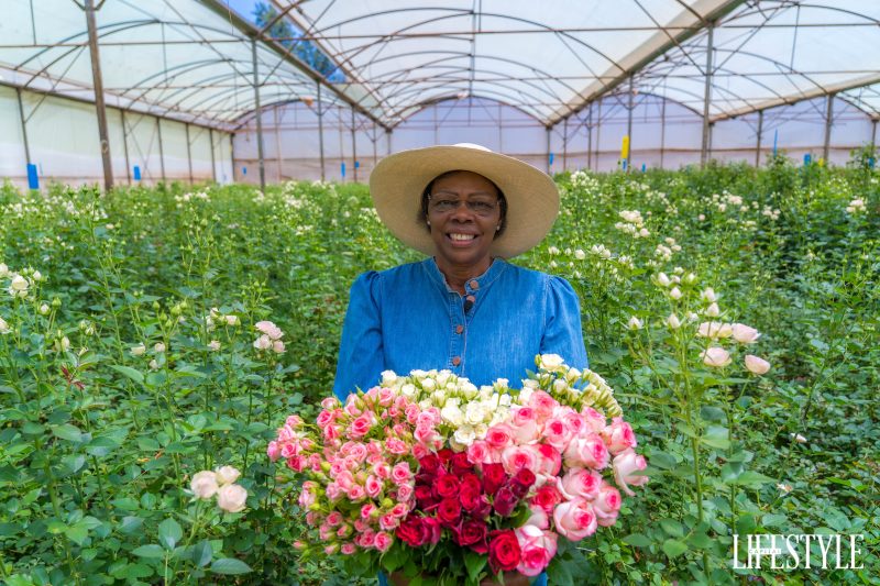 From Kenya to the World: How Kenyan Roses Grace And Define Valentine’s Day Worldwide