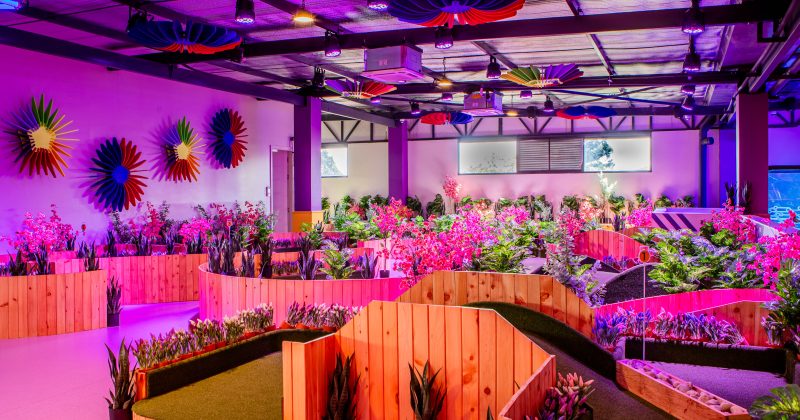 Smash & Play Rhapta Brings a New Way to Experience Fun in Nairobi