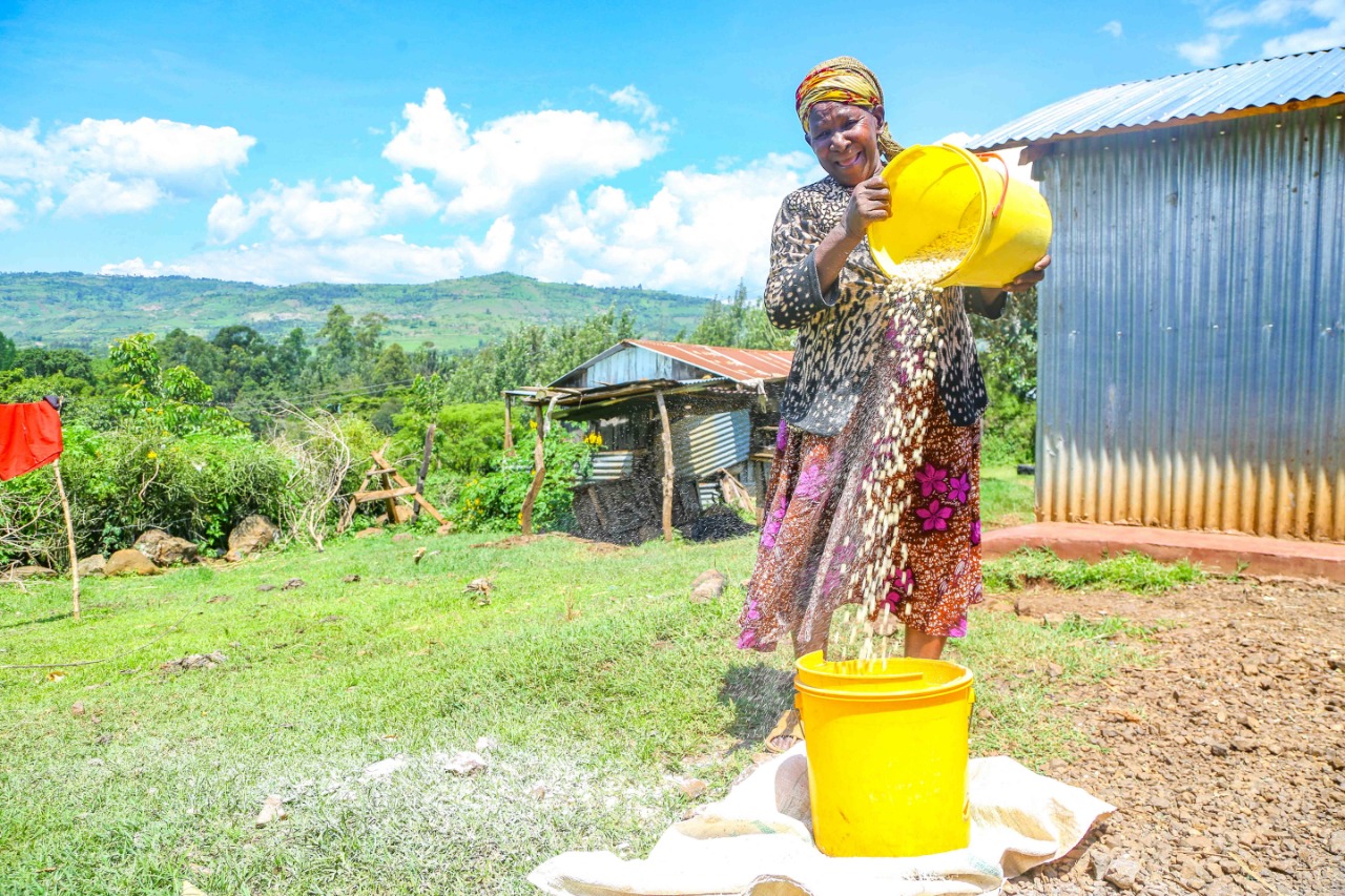 A new sunrise in Agriculture only possible if we can feed ourselves